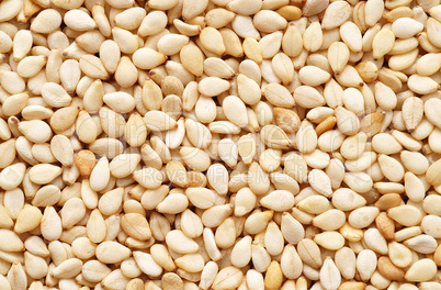 Sesame Seeds Close-up - Sesam