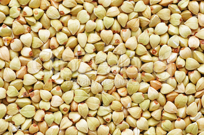 Buckwheat Grains - Buchweizen