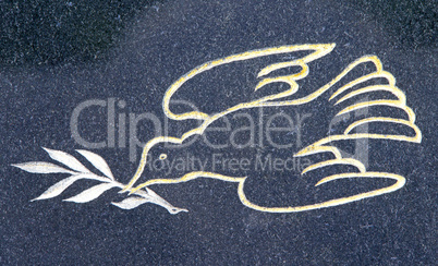 Friedenstaube - Dove as Peace Symbol