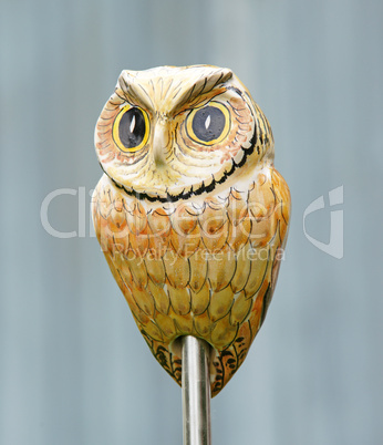 Die Eule - Owl