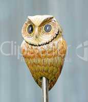 Die Eule - Owl