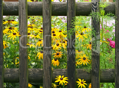 Beautiful Garden at Home - Der schöne Garten