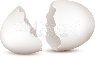 broken egg on white background