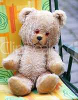 Der einsame Teddybär - The lonely Teddy Bear