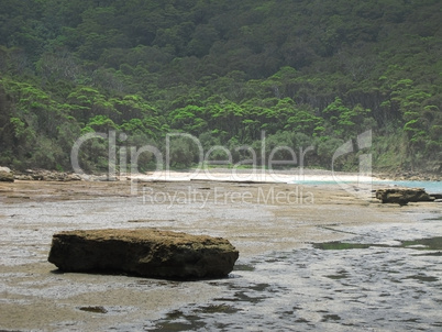 wild rocky shore in australia