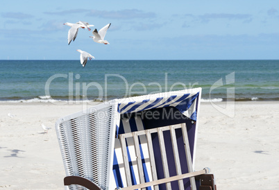 Strandkorb am Meer mit Möwen - At the Beach