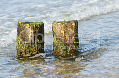 Zwei Holz Stämme im Meer - Teamwork Concept