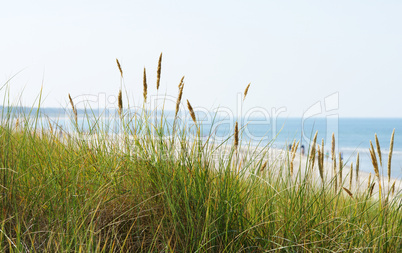 Panorama am Meer - At the Ocean