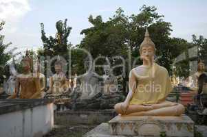 Buddha's figure in the Wat Phai Rong Wua