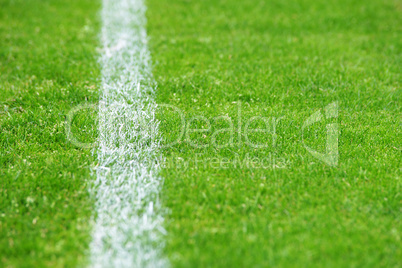 fußball rasen mit linie links - soccer grass