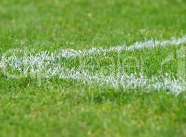 fußball ecke links - soccer grass