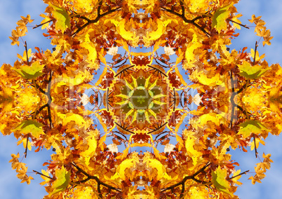 Herbst Farben Mandala - Autumn Design Mandala