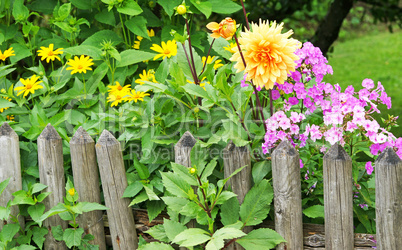 Mein schöner Garten - My beautiful Garden