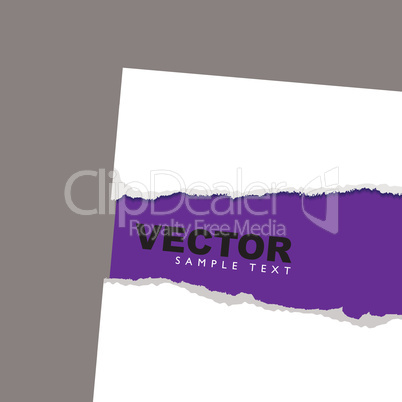 torn paper reveal purple