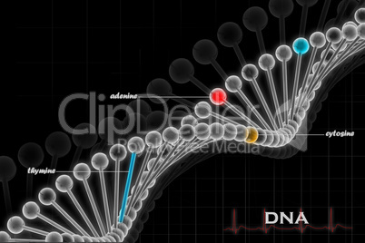 dna