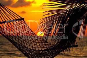 palm, hammock and sunset