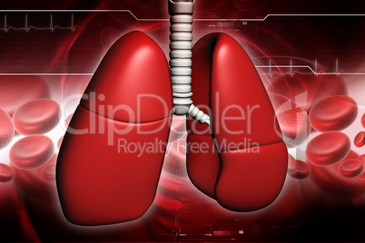 Human lungs