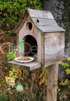 Beautiful birdhouse
