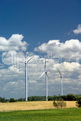 Windmill farm