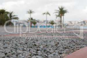 Steinboden mit unscharfen Palmen im Hintergrund