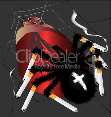 spider-killer smokers
