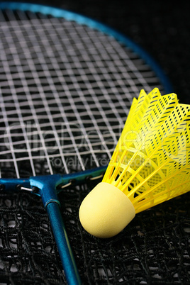 Badminton equipment