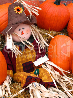 mr. scarecrow