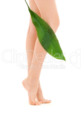 female legs with green leaf