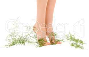female feet with green plant
