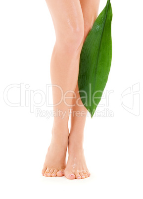 female legs with green leaf