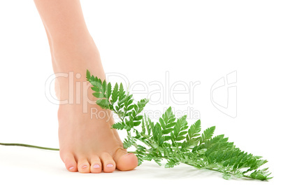 female foot with green fern leaf