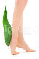 female legs with green leaf