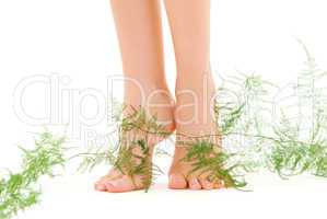 female legs with green plant