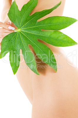 female torso with green leaf over white