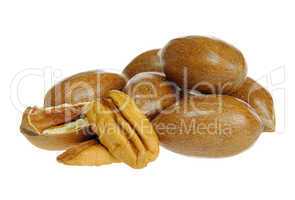 Pecannuss - pecan nut 06