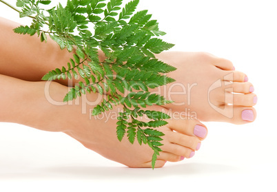 female feet with green leaf