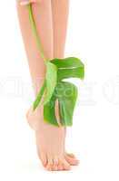 female legs with green leaf