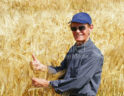 Beste Erntezeit - Cereal Grain Harvest