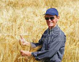 Beste Erntezeit - Cereal Grain Harvest