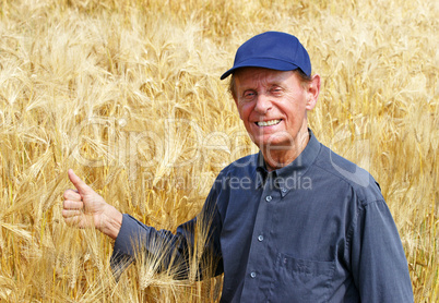 Die gute Ernte - Cereal Grain Harvest