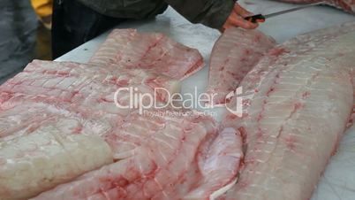 Halibut filets on table P HD 8252