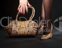 snakeskin shoes and handbag