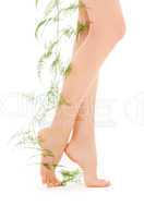 female legs with green plant