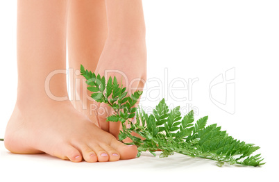 female feet with green leaf