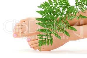 female feet with green leaf