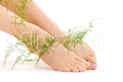 female feet with green plant