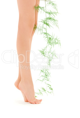 female legs with green plant