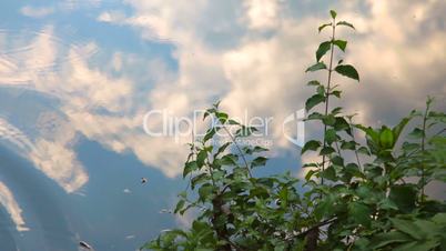 Water and sky