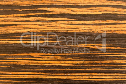 Wood grain in macro