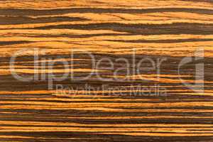 Wood grain in macro